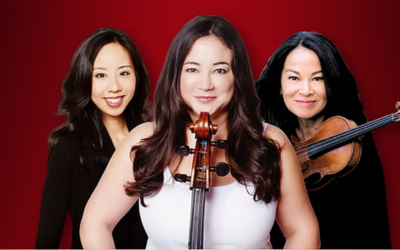 The Seiler Trio on a red background with instruments